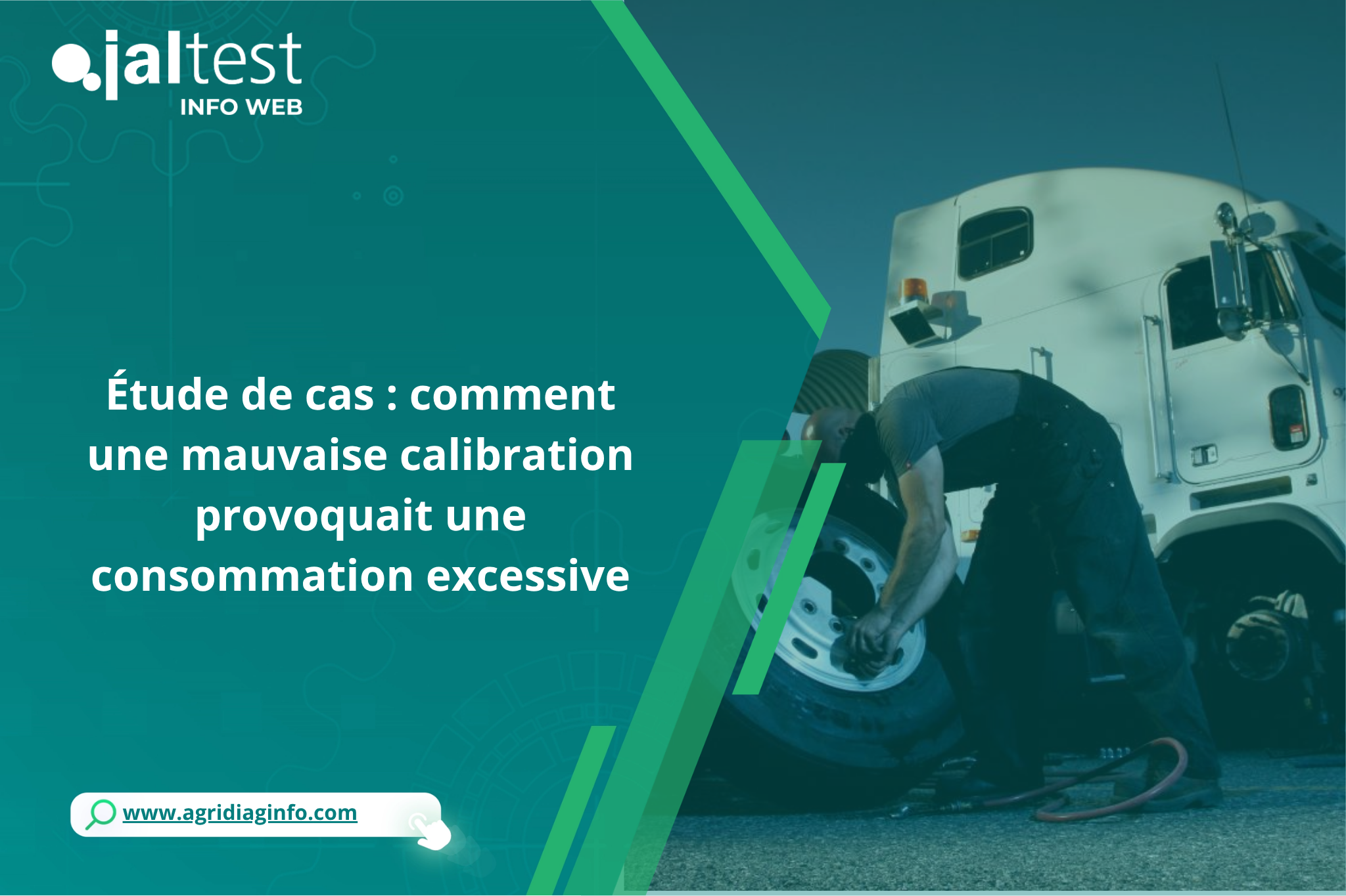 Jaltest info web diagnostic
